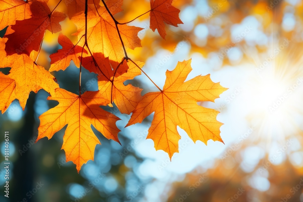 Autumn background with yellow and orange leaves Autumn background with yellow and orange leaves