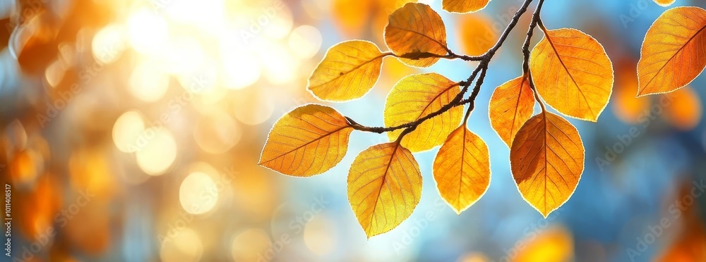 An autumn park with yellow, red, and orange leaves An autumn park with yellow, red, and orange leaves