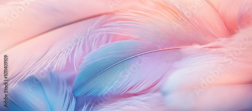 A close-up of soft, pastel-colored feathers in various shades of pink and blue