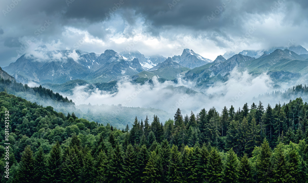 Obraz premium Fog is covering the mountain peaks on a cloudy day