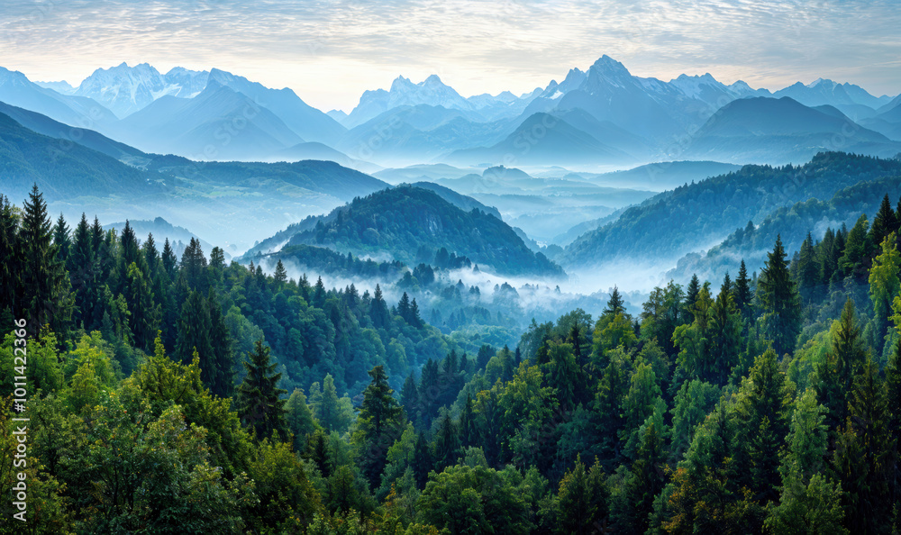Majestic mountain ranges towering over foggy forest landscape Majestic mountain ranges towering over foggy forest landscape