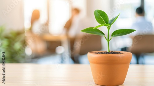 Small potted plant on office table with blurred business meeting in background.