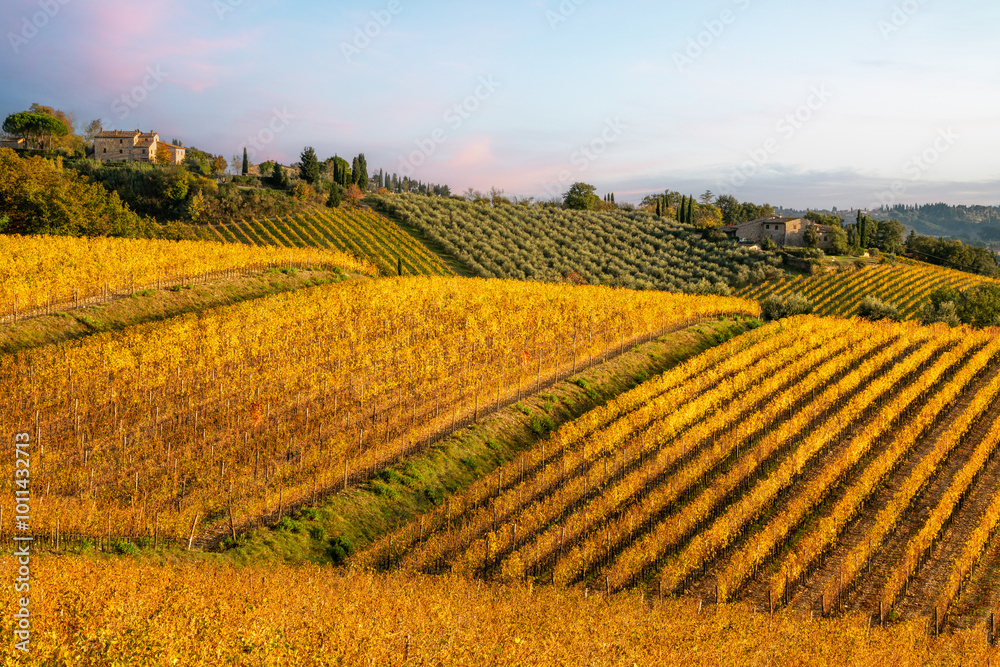 Chianti region, Tuscany, Italy. Autumn landscape