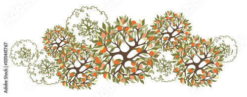 Orange Tree for architectural floor plans. Top view element. Entourage design for the landscape design plan. Vector illustration.
