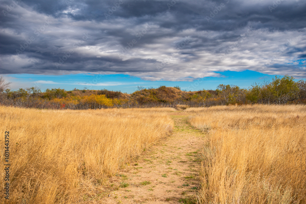Autumn colours on a prairie hike Autumn colours on a prairie hike