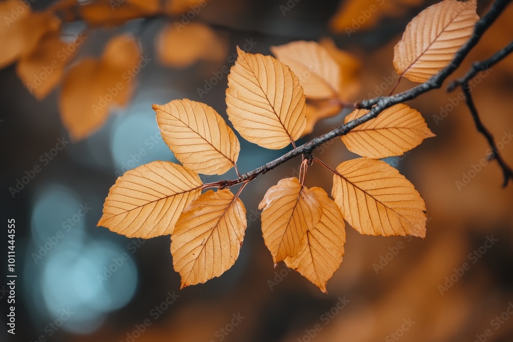 Obraz premium This image focuses on a cluster of orange autumn leaves with bright detailing on a slender branch, evoking feelings of contemplation and seasonal change.