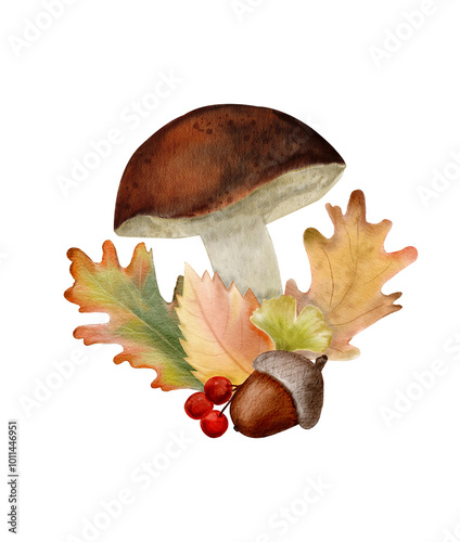Watercolor composition. Drawn forest mushrooms and autumn leaves, with berries, acorns. Drawings for your design.