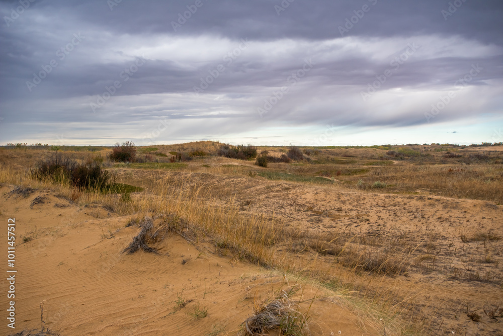 Saskatchewan sand dunes in autumn