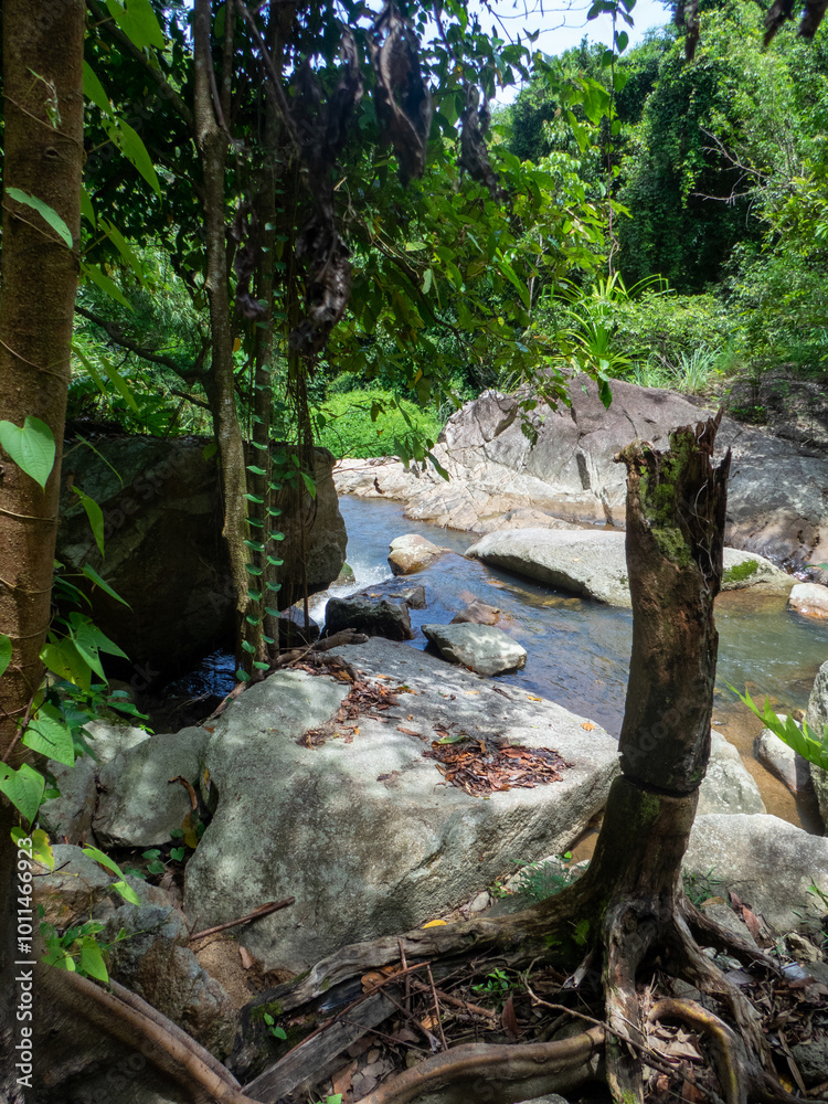 Obraz premium Na Muang 2 waterfall, Koh Samui, Thailand