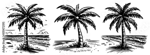 palm trees and palm vector