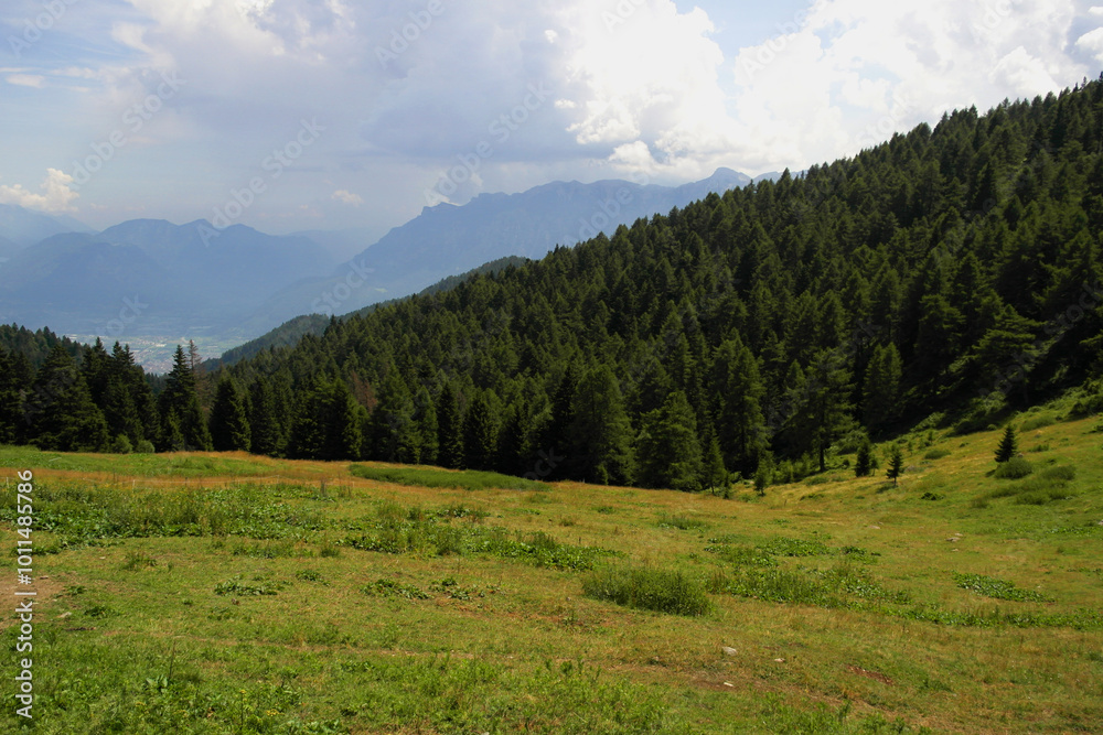Obraz premium View of Malga Masi, near Novaledo, Trentino Alto Adige, Italy