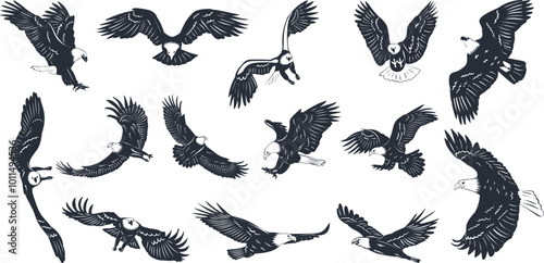 Wallpaper Mural set of eagle icon silhouette on white background, vector Torontodigital.ca