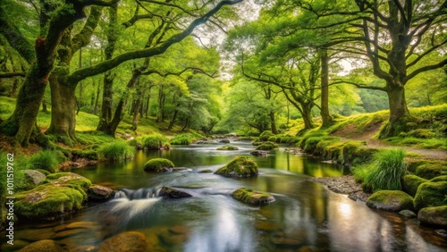 A Tranquil Stream Winding Through a Lush Forest Canopy, Reflecting the Sunlight, Creating a Serene and Picturesque Scene