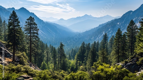 Majestic Mountain Range with Evergreen Forest Landscape