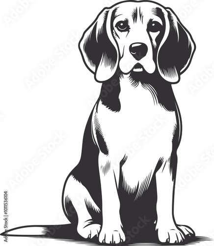 Beagle Dog Vector isolated on a white background, Dog Silhouettes