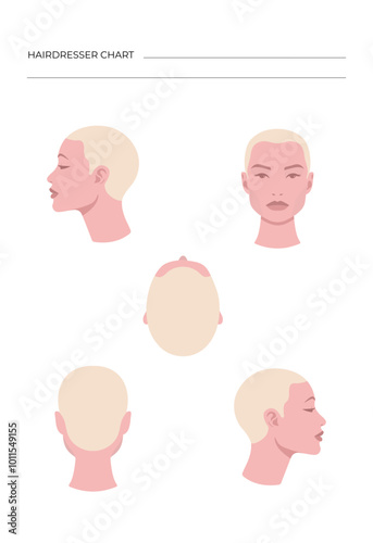 Isolated vector female heads in color in different projections for hairdressers. Hair growth line.