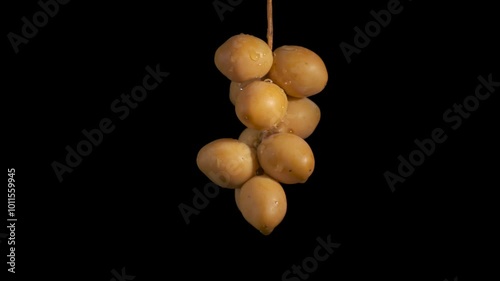 Close-up of ripe yellow dates with water drops on the black background.