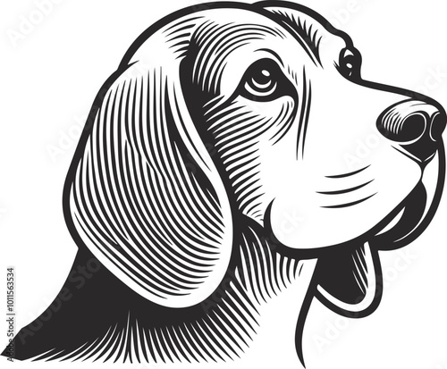 Beagle Dog Vector isolated on white background, Dog Silhouettes