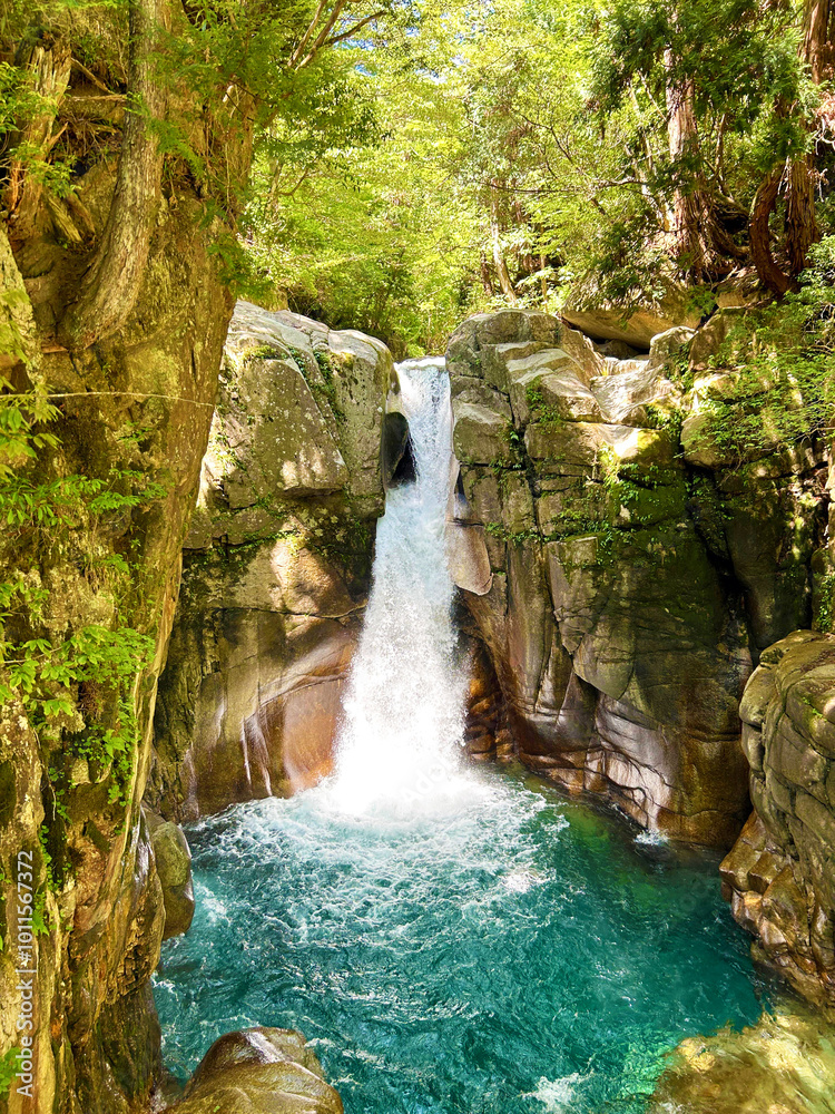 Naklejka premium 新緑に映える滝
