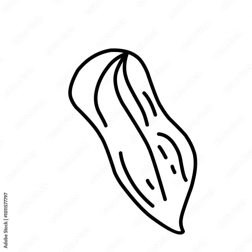 Nuts And Seeds Outline Style Nuts And Seeds Outline Style