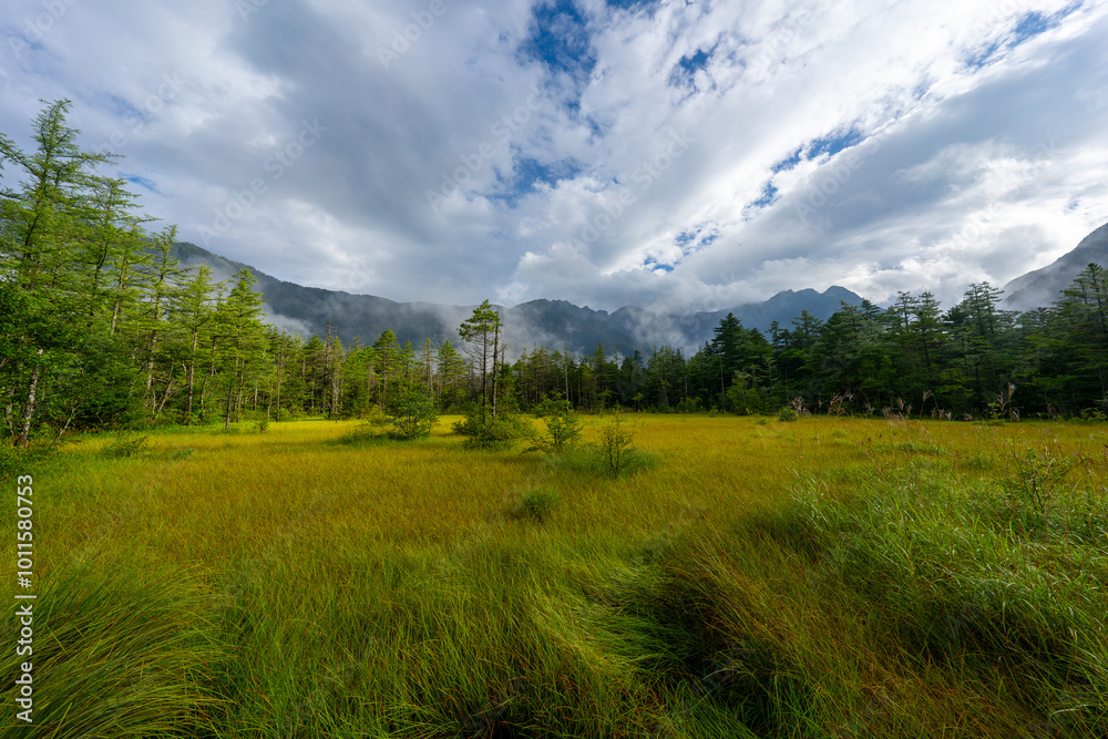 Fototapeta premium 上高地の風景