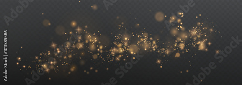 Christmas background. Powder PNG. Magic shining gold dust. Fine, shiny dust bokeh particles fall off slightly. Fantastic shimmer effect.	

