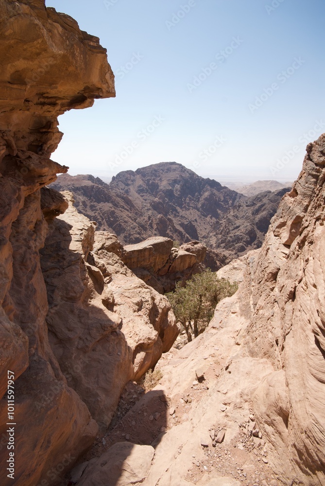 Fototapeta premium Petra, Jordan.