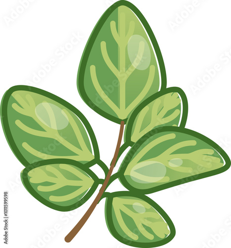 Illustration of marjoram leaves symbolizing culinary herbs and natural remedies.