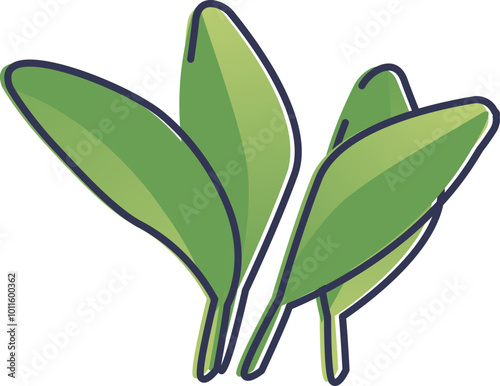 Illustration of fresh spinach leaves, symbolizing health and nutrition.