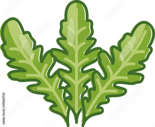 Illustration of three arugula leaves symbolizing freshness and healthy eating.