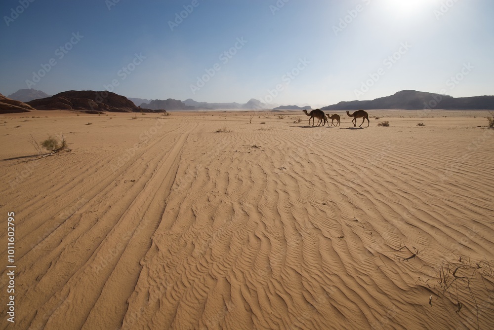 Wadi Rum desert in Jordan. Wadi Rum desert in Jordan.