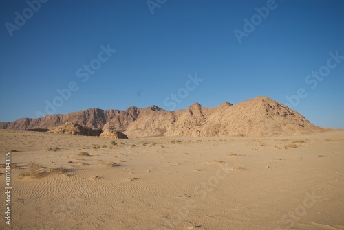 Wadi Rum desert in jordan