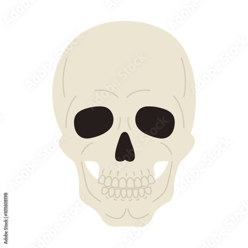 Human skull. Skeleton head. Halloween and death symbol. Vector flat illustration isolated on white background