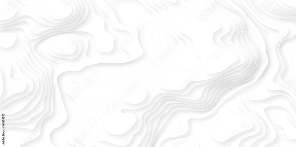 Abstract wavy line 3d paper cut white background. Topographic canyon geometric map relief texture with curved layers and shadow. Abstract wavy line 3d paper cut white background. Topographic canyon geometric map relief texture with curved layers and shadow.