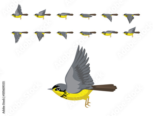 Bird Canada Warbler Flying Animation Sequence Cartoon Vector