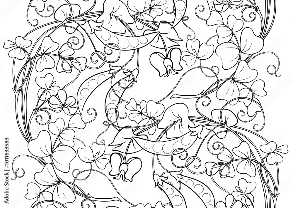 Fototapeta premium Green peas. Branch with leaves and pods with peas.. Seamless border pattern, linear ornament, ribbon Vector illustration. Outline hand drawing. In art nouveau style, vintage, old, retro style.