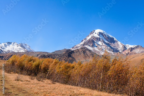 a panoramic view of autumn landscape with mountain hills surrounded by trees with yellow and red foliage at kazbegi stepantsminda in georgia near the foot of mount kazbek