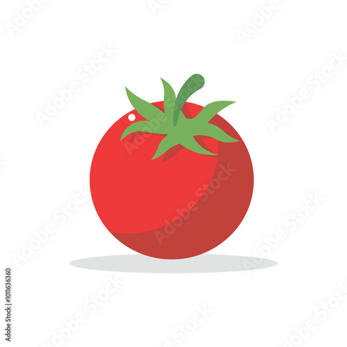 Vector illustration of a red tomato isolated on white , Tomato vector. Tomato on white background. Tomato vector in cartoon style