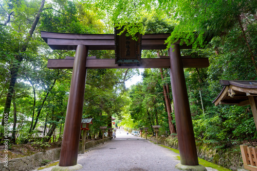 奈良県　石上神宮の風景 photo