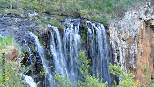 Fototapeta Naklejka Na Ścianę i Meble -  waterfall in the forest