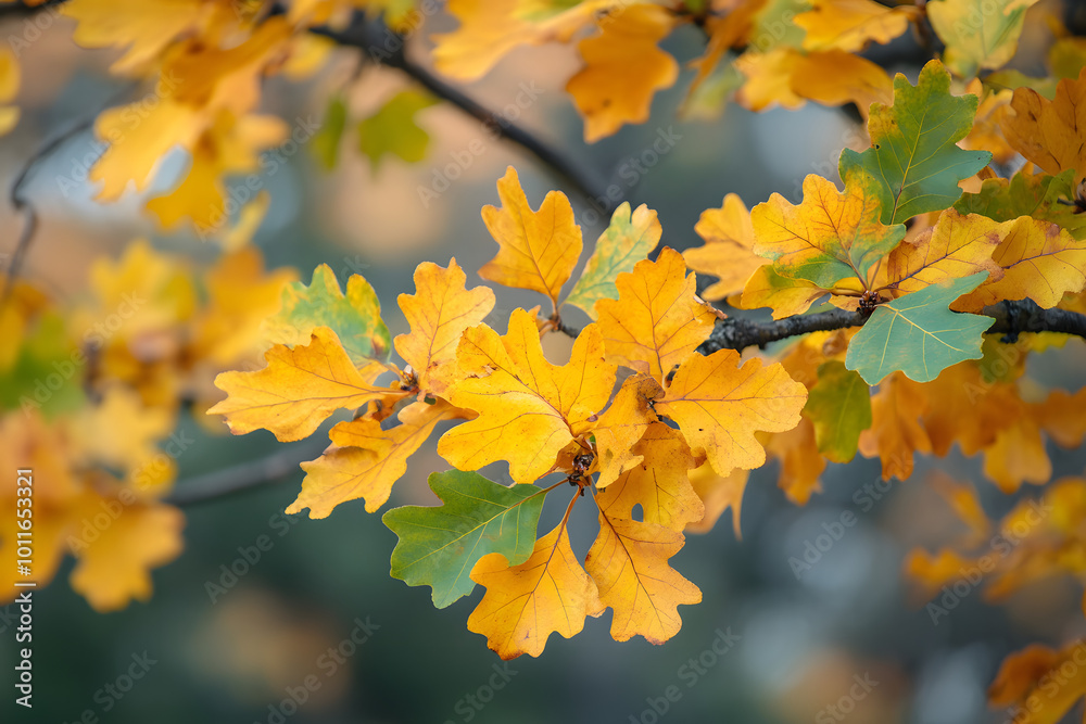 Vibrant Autumn Leaves in Shades of Gold and Green on Branches, Capturing the Essence of Fall Foliage