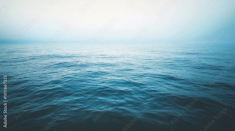 A serene European sea, no fish visible, clean and peaceful, with plenty of space for text. A serene European sea, no fish visible, clean and peaceful, with plenty of space for text.