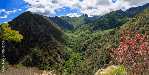 Gorges du Llech, panorama de la vallée couverte de forets photo