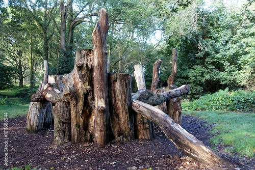 An area for children's play, constructed using oak tree trunks that have been felled sustainably, nestled in the natural woodlands of Chorleywood Common