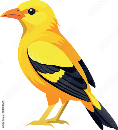 A golden oriole illustration featuring a yellow body, black beak, and black feathers against a plain background
