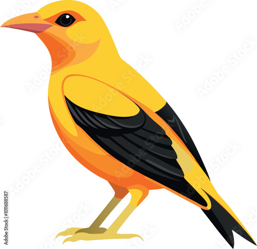 A golden oriole illustration featuring a yellow body, black beak, and black feathers against a plain background
