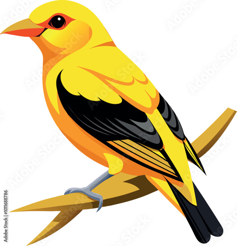 A golden oriole illustration featuring a yellow body, black beak, and black feathers against a plain background