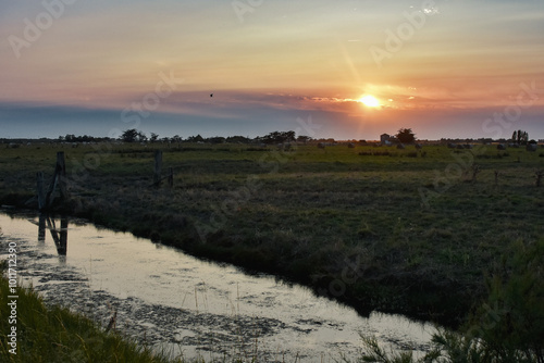 Marais Fromentine, Coucher de soleil photo