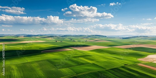 A wide-angle view of a sprawling agricultural landscape with multiple irrigation pivots working simultaneously photo