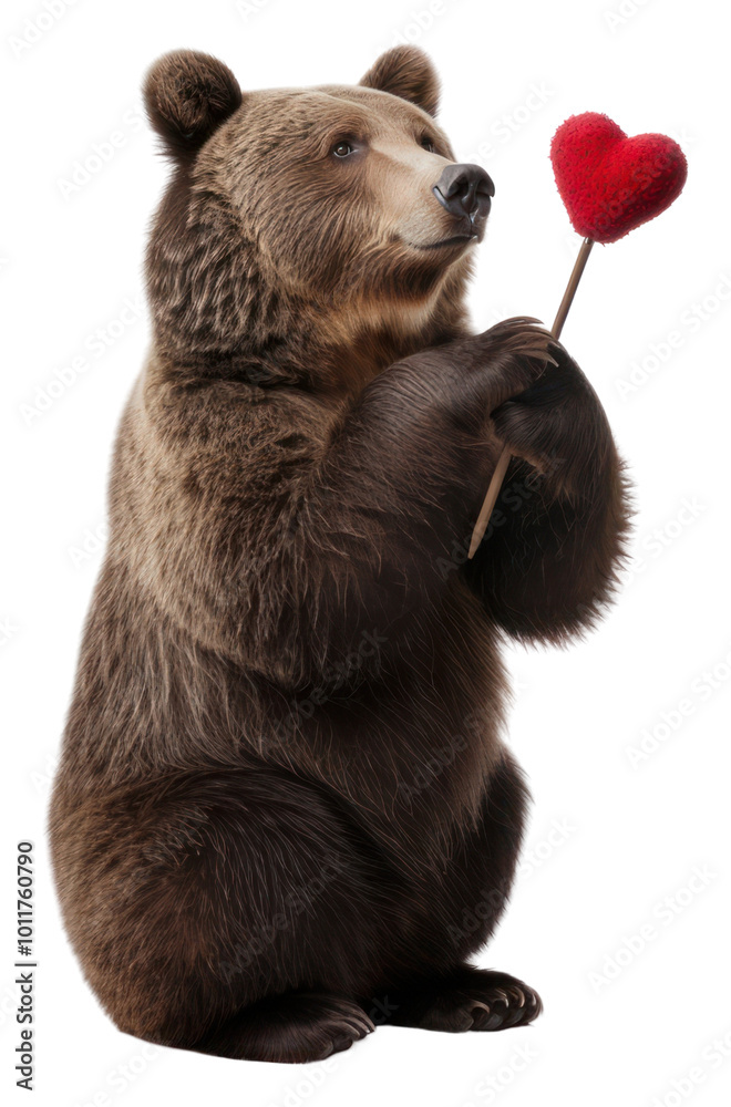 Fototapeta premium PNG Wildlife mammal animal bear.